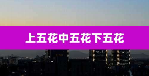 上五花中五花下五花