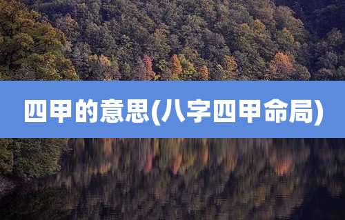 四甲的意思(八字四甲命局)