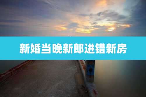 新婚当晚新郎进错新房