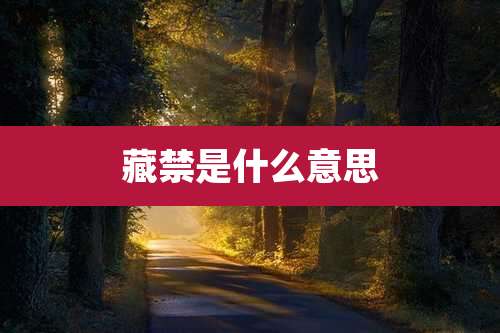 藏禁是什么意思