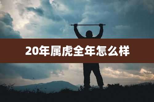 20年属虎全年怎么样