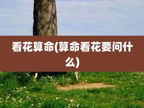 看花算命(算命看花要问什么)