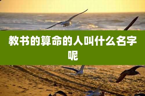 教书的算命的人叫什么名字呢