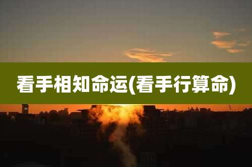 看手相知命运(看手行算命)