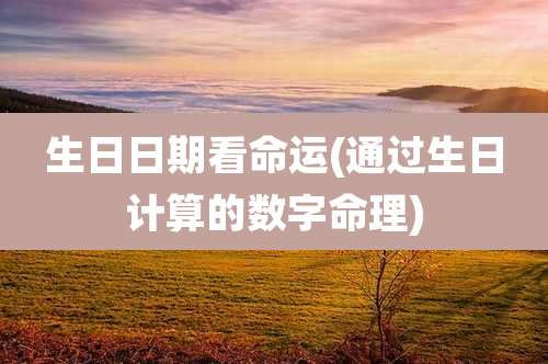 生日日期看命运(通过生日计算的数字命理)