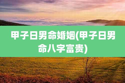 甲子日男命婚姻(甲子日男命八字富贵)