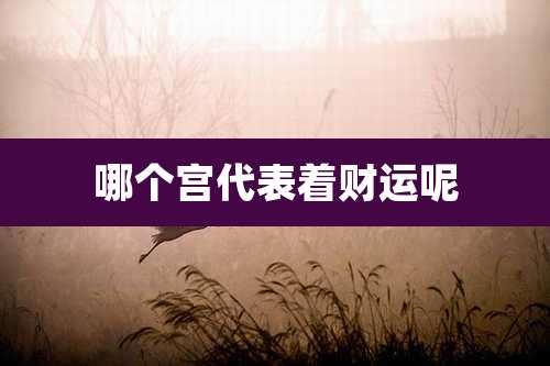 哪个宫代表着财运呢