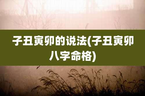 子丑寅卯的说法(子丑寅卯八字命格)