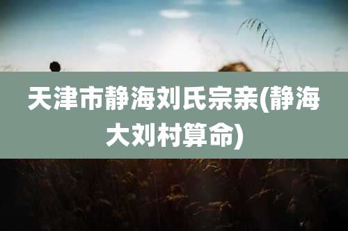 天津市静海刘氏宗亲(静海大刘村算命)
