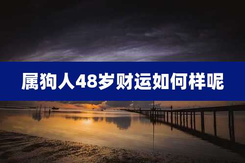 属狗人48岁财运如何样呢