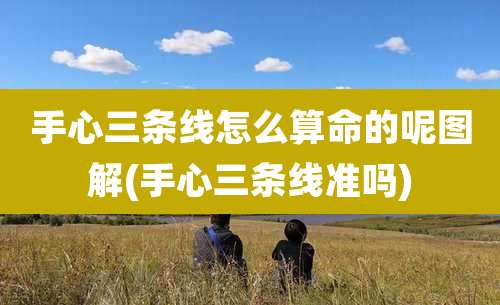 手心三条线怎么算命的呢图解(手心三条线准吗)