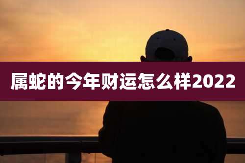 属蛇的今年财运怎么样2022