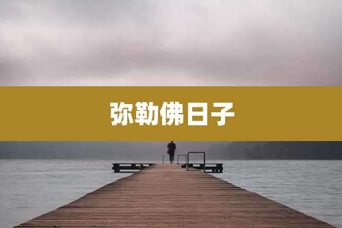 弥勒佛日子