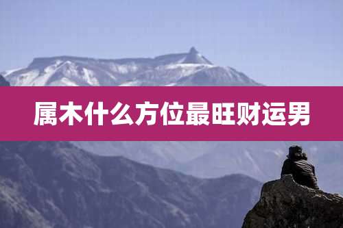 属木什么方位最旺财运男