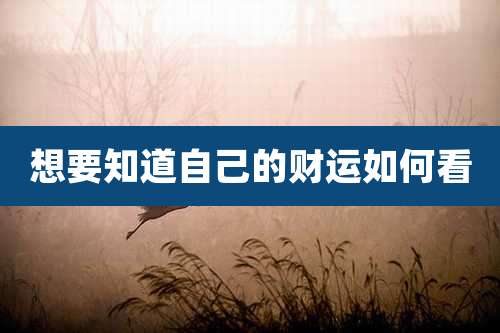 想要知道自己的财运如何看