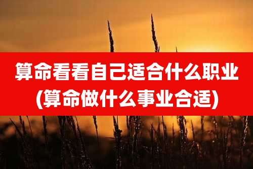 算命看看自己适合什么职业(算命做什么事业合适)