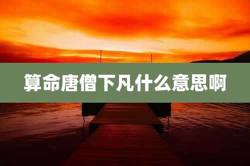 算命唐僧下凡什么意思啊