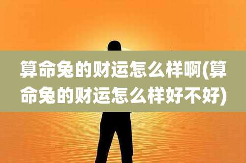算命兔的财运怎么样啊(算命兔的财运怎么样好不好)