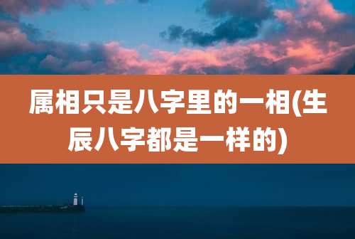 属相只是八字里的一相(生辰八字都是一样的)