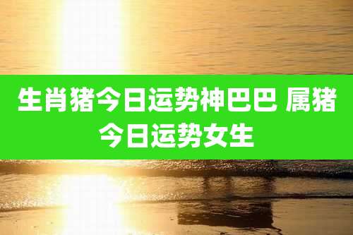生肖猪今日运势神巴巴 属猪今日运势女生