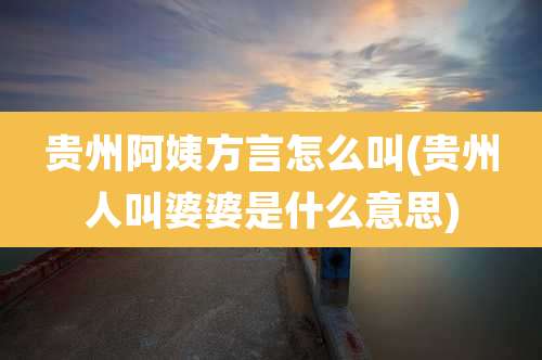贵州阿姨方言怎么叫(贵州人叫婆婆是什么意思)