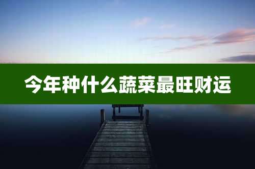 今年种什么蔬菜最旺财运