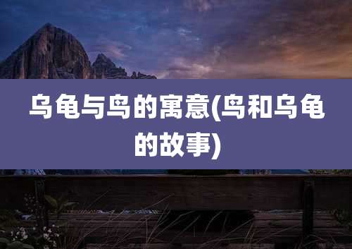乌龟与鸟的寓意(鸟和乌龟的故事)