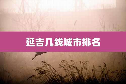 延吉几线城市排名