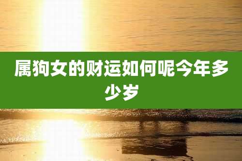 属狗女的财运如何呢今年多少岁
