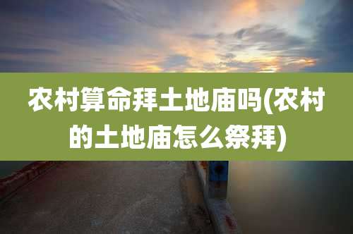 农村算命拜土地庙吗(农村的土地庙怎么祭拜)