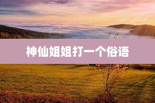 神仙姐姐打一个俗语
