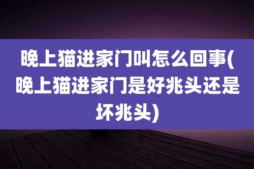 晚上猫进家门叫怎么回事(晚上猫进家门是好兆头还是坏兆头)