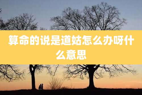 算命的说是道姑怎么办呀什么意思