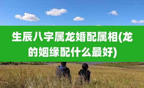 生辰八字属龙婚配属相(龙的姻缘配什么最好)