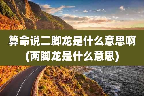 算命说二脚龙是什么意思啊(两脚龙是什么意思)