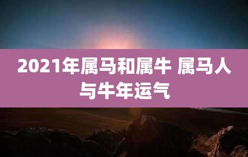 2021年属马和属牛 属马人与牛年运气