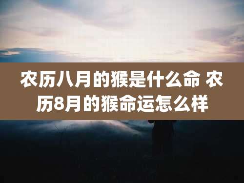 农历八月的猴是什么命 农历8月的猴命运怎么样