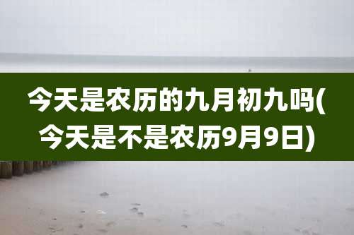 今天是农历的九月初九吗(今天是不是农历9月9日)