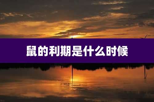 鼠的利期是什么时候