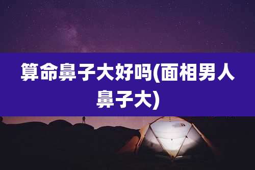 算命鼻子大好吗(面相男人鼻子大)