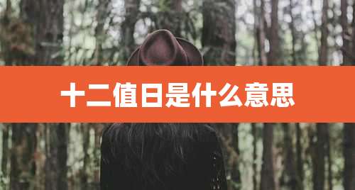十二值日是什么意思