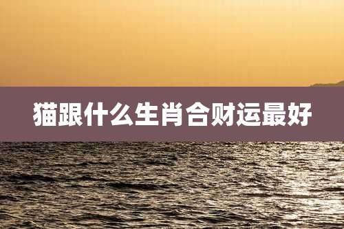 猫跟什么生肖合财运最好