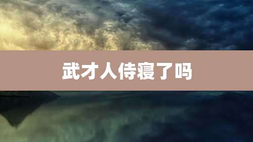 武才人侍寝了吗