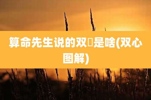 算命先生说的双囍是啥(双心图解)