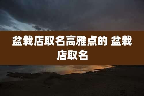 盆栽店取名高雅点的 盆栽店取名