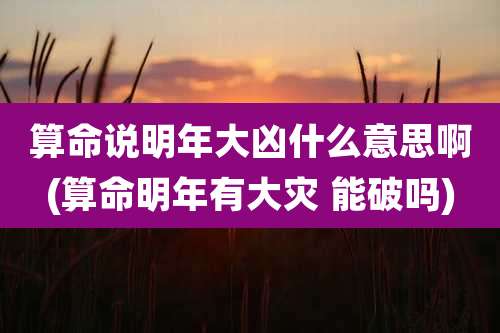 算命说明年大凶什么意思啊(算命明年有大灾 能破吗)