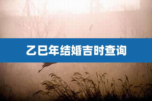 乙巳年结婚吉时查询