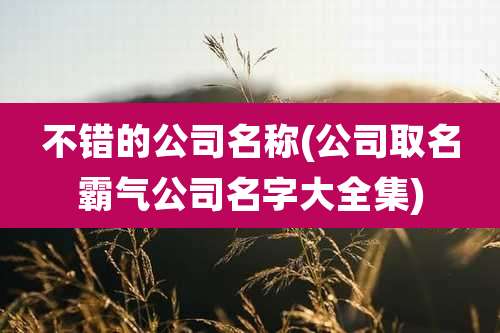 不错的公司名称(公司取名霸气公司名字大全集)