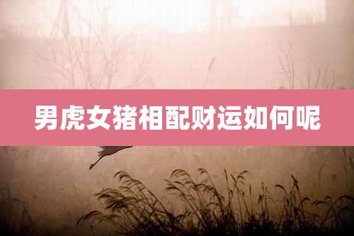 男虎女猪相配财运如何呢