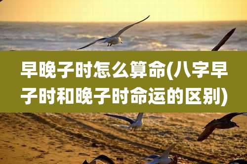 早晚子时怎么算命(八字早子时和晚子时命运的区别)